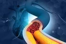 QUANDO PROCURAR UM CARDIOLOGISTA?