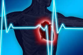 CHECK-UP EM CLÍNICA DE CARDIOLOGIA EM SP